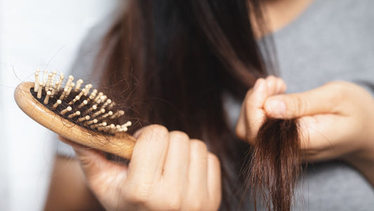 Tired of Hair Fall? Here’s How Amla Bhringraj Shampoo Can Help