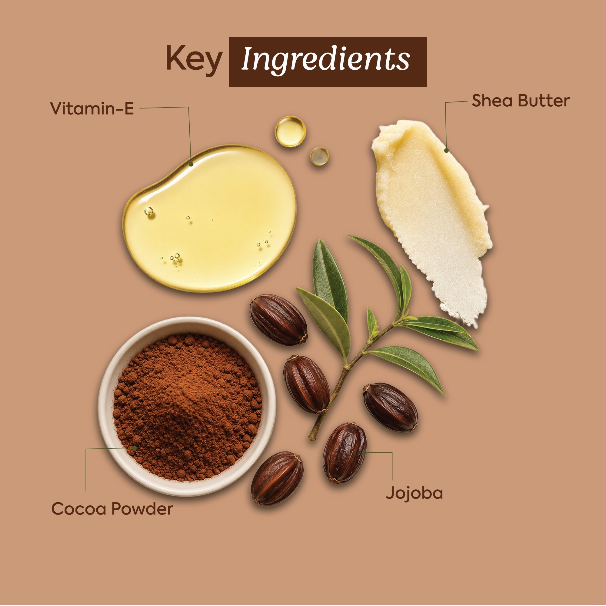 Vagad's Herbal Choco Mania Lip Balm | Cocoa Butter Enriched | Intense Hydration with Decadent Chocolate Flavor | Soft, Smooth & Nourished Lips | Paraben-Free, Natural Lip Care for Daily Use - 8gm