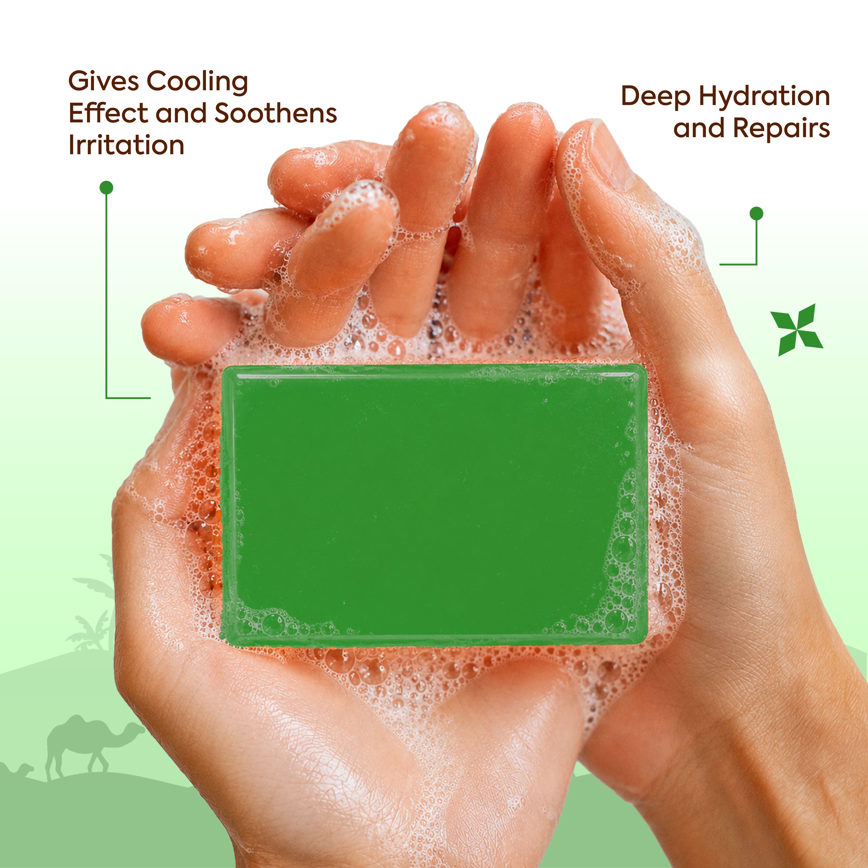 Vagad’s Aloe Vera Soap – Herbal Gentle Cleanser for Face & Body | Hydrating & Soothing Bar Soap for All Skin Types | Paraben-Free, Sulphate-Free, Cruelty-Free - 125gm (Pack of 3)